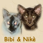 Bibi & Nike